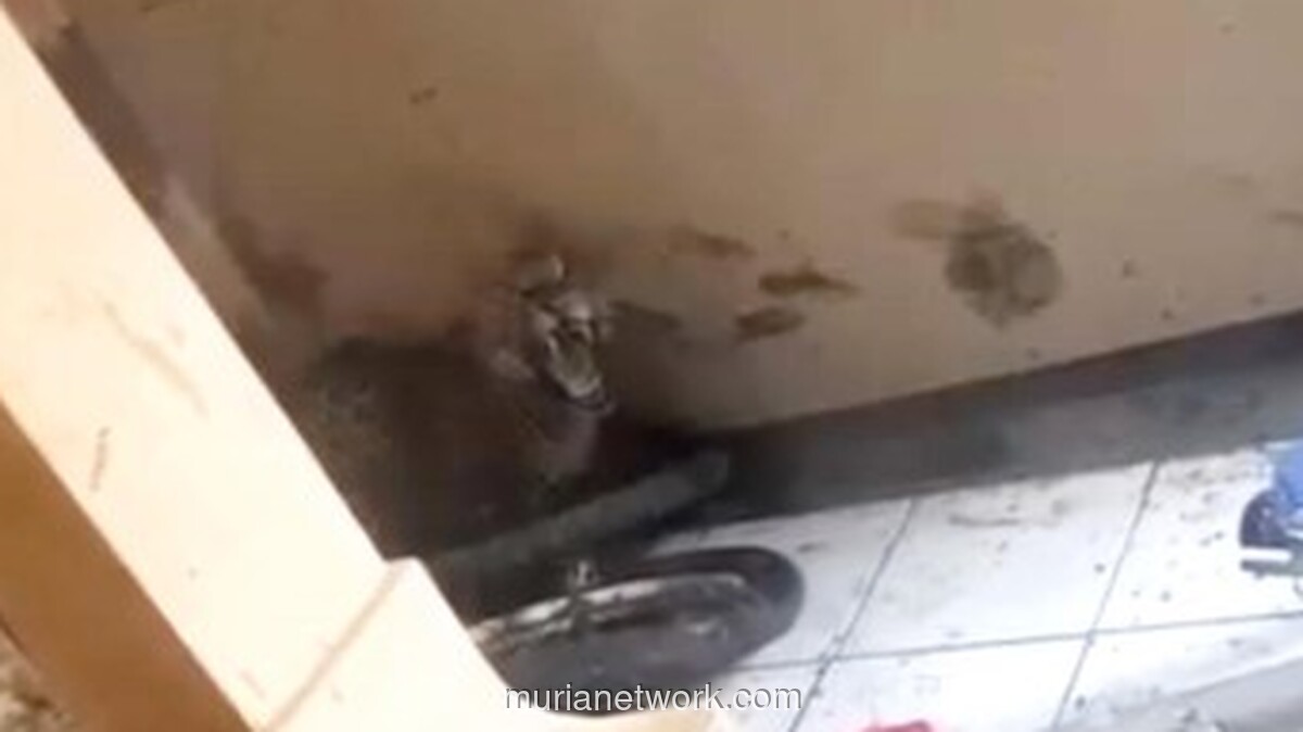 Macan Tutul Masuk Rumah Warga di Bandung, Dua Orang Terluka