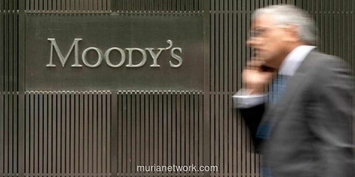 Moodys Tegaskan Peringkat Baa2 Indonesia, Pemerhatan Soroti Ketahanan Ekonomi