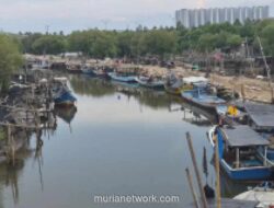 Ribuan Biota Laut Mati Diduga Akibat Pencemaran, Aktivitas Nelayan Tangerang Terhenti