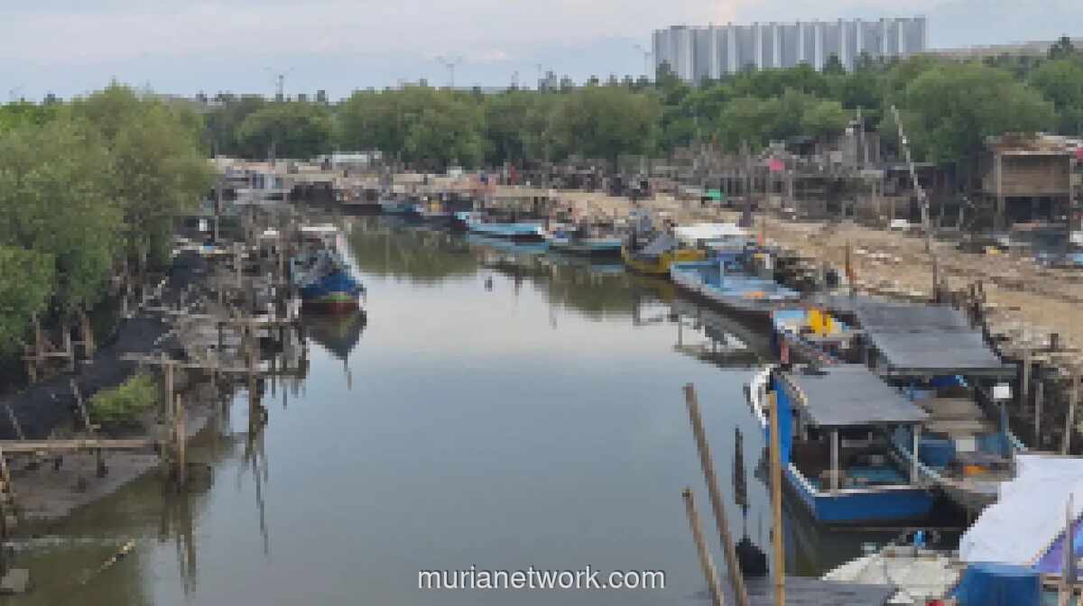 Ribuan Biota Laut Mati Diduga Akibat Pencemaran, Aktivitas Nelayan Tangerang Terhenti