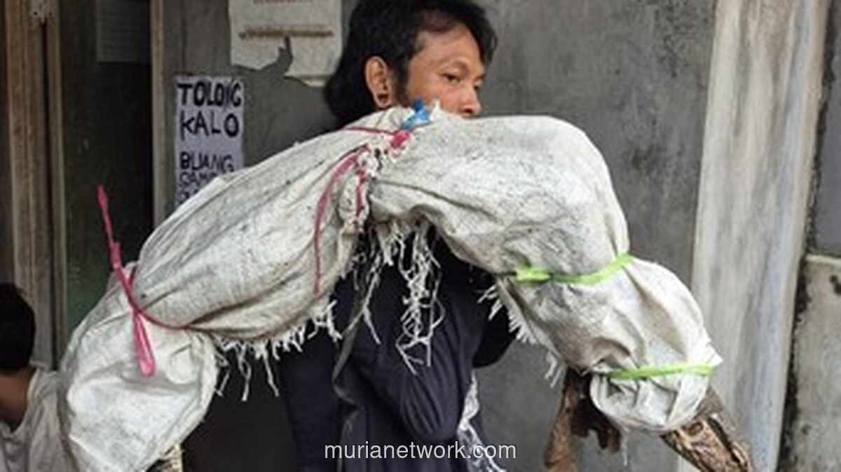 Polisi Klarifikasi Video Viral Karung di Jakarta: Isinya Biawak, Bukan Mayat