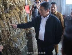 NTB Ditunjuk Jadi Sentra Jagung dan Bawang Putih Nasional