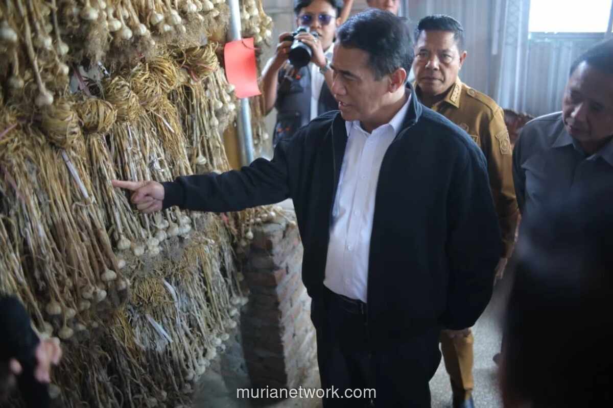 NTB Ditunjuk Jadi Sentra Jagung dan Bawang Putih Nasional