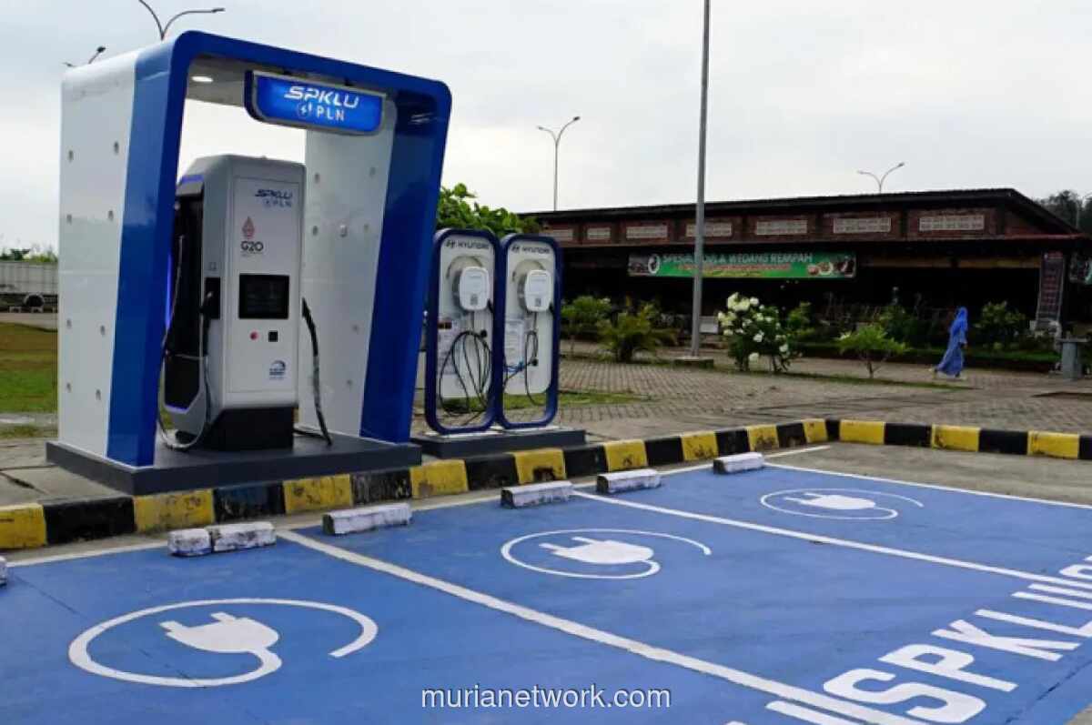 Panduan Lengkap Jenis Colokan Mobil Listrik di SPKLU Indonesia