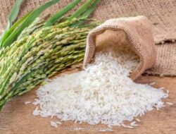 BPS Proyeksikan Produksi Beras Nasional Naik 16% di Awal 2026