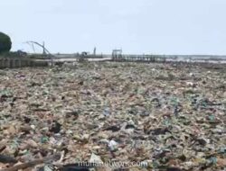 Tumpukan Sampah Membentuk Daratan Baru, Ancam Ekosistem dan Nelayan di Pesisir Cirebon