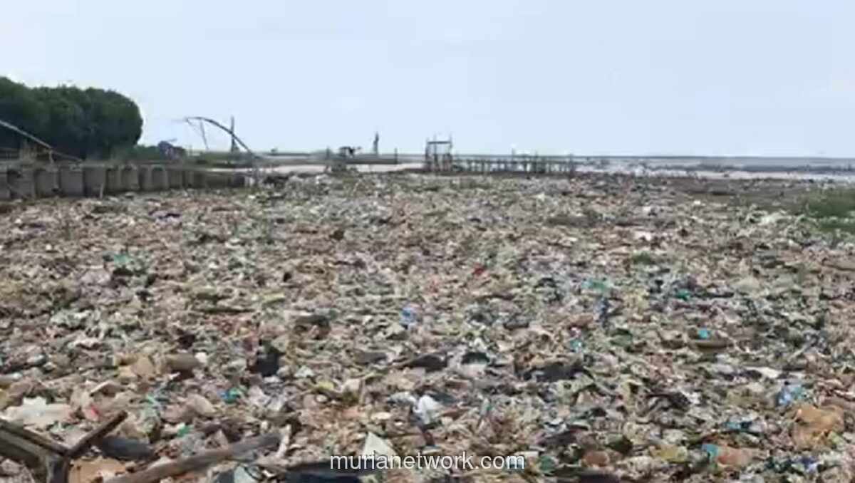 Tumpukan Sampah Membentuk Daratan Baru, Ancam Ekosistem dan Nelayan di Pesisir Cirebon