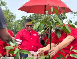PDI Perjuangan Alihfungsikan Lahan 3 Hektare di Yogyakarta Jadi Pusat Pembibitan dan Pengolahan Sampah