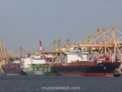 AS Bebaskan Tarif Sawit hingga Kopi RI, Pelaku Usaha Soroti Tantangan Ekspor