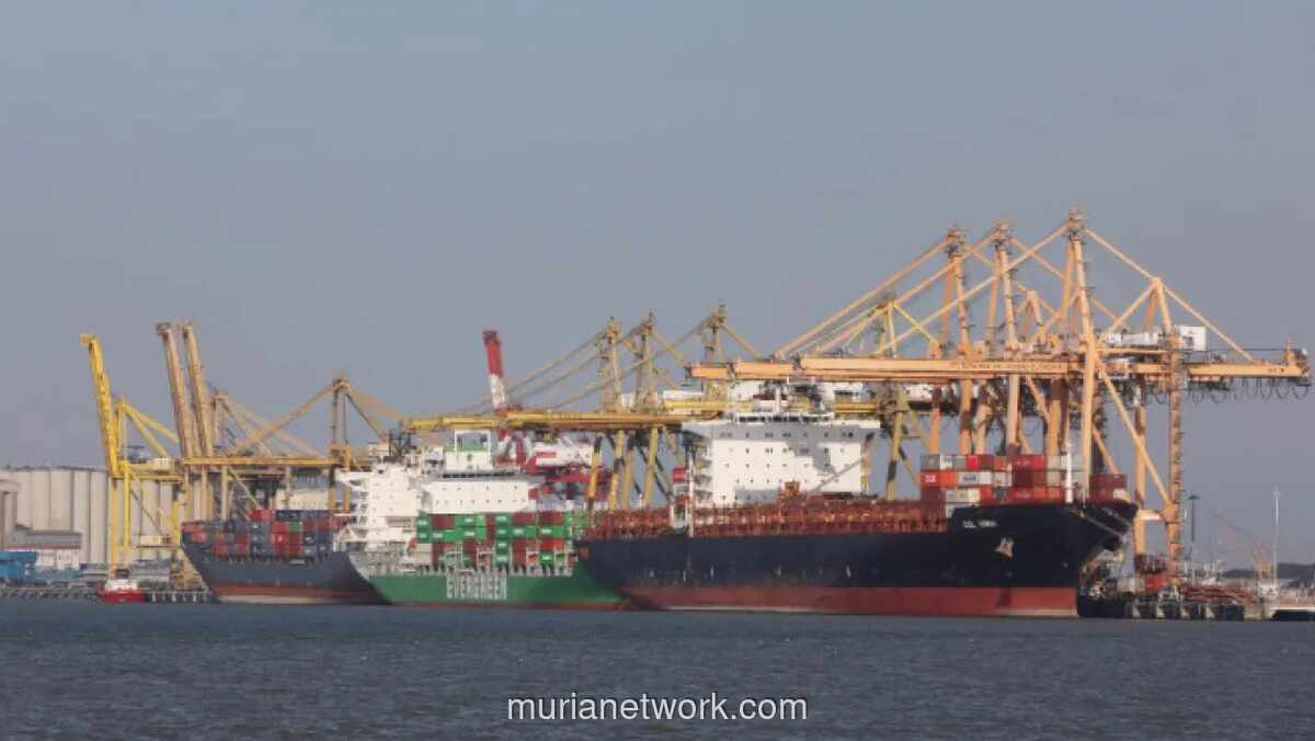 AS Bebaskan Tarif Sawit hingga Kopi RI, Pelaku Usaha Soroti Tantangan Ekspor