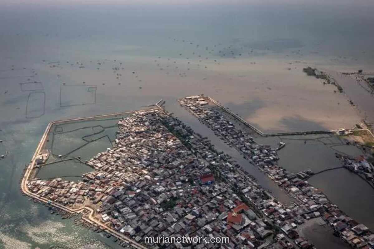 Pemerintah Genjot Persiapan Tanggul Raksasa Rp 1.600 Triliun untuk Lindungi Pantura Jawa