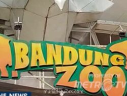 Kebun Binatang Bandung Disegel Tiga Bulan, Konsep Baru Disiapkan