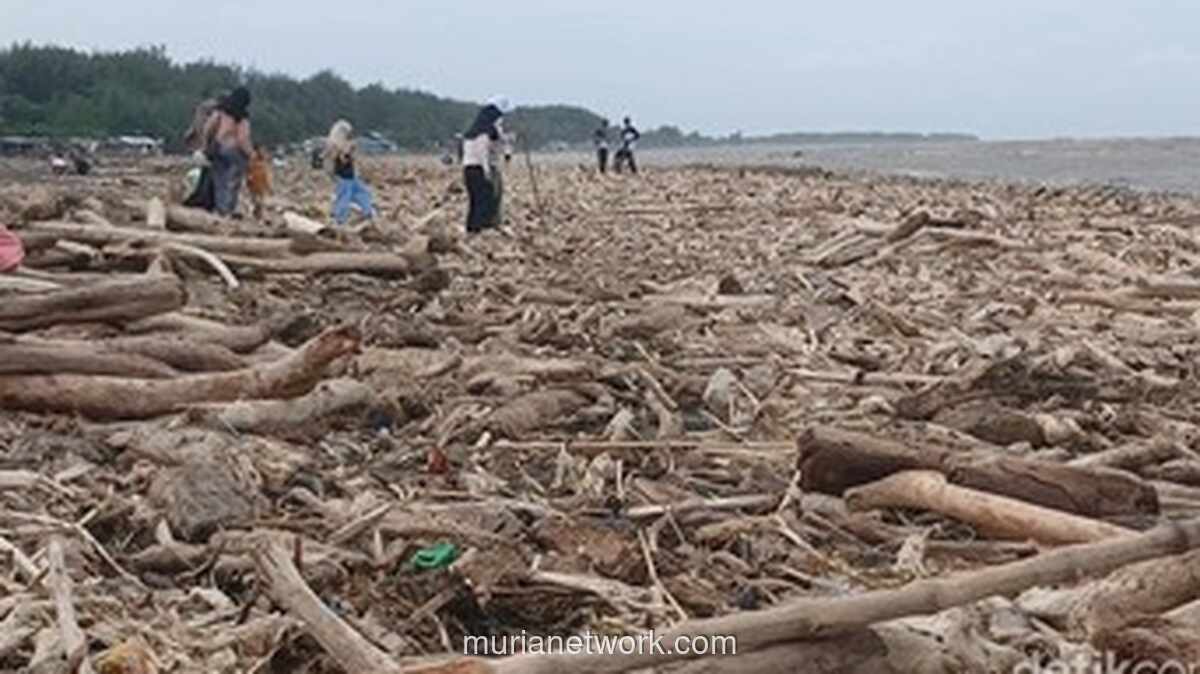 Pemerintah Kaji Dugaan Penebangan Hutan Pemicu Banjir Bandang Guci