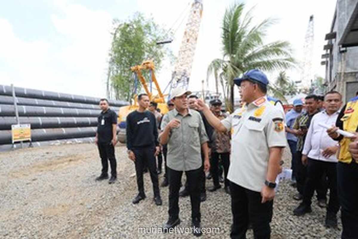Mendagri Tinjau Pembangunan Jembatan di Bireuen, Progres Capai 18 Persen