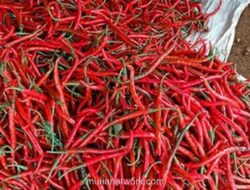 Pemprov DKI Waspadai Kenaikan Harga Minyak Goreng dan Cabai Jelang Ramadan