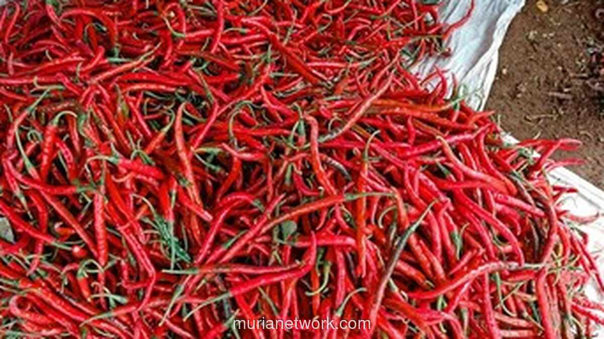 Pemprov DKI Waspadai Kenaikan Harga Minyak Goreng dan Cabai Jelang Ramadan