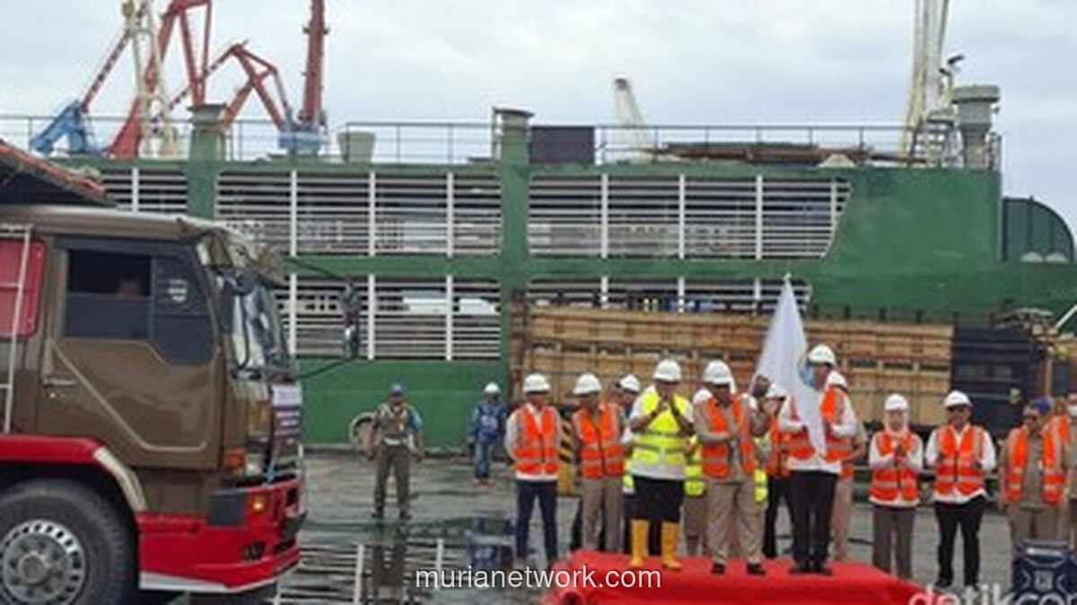 Pemprov DKI Impor 3.100 Sapi Australia untuk Tekan Inflasi Jelang Ramadan