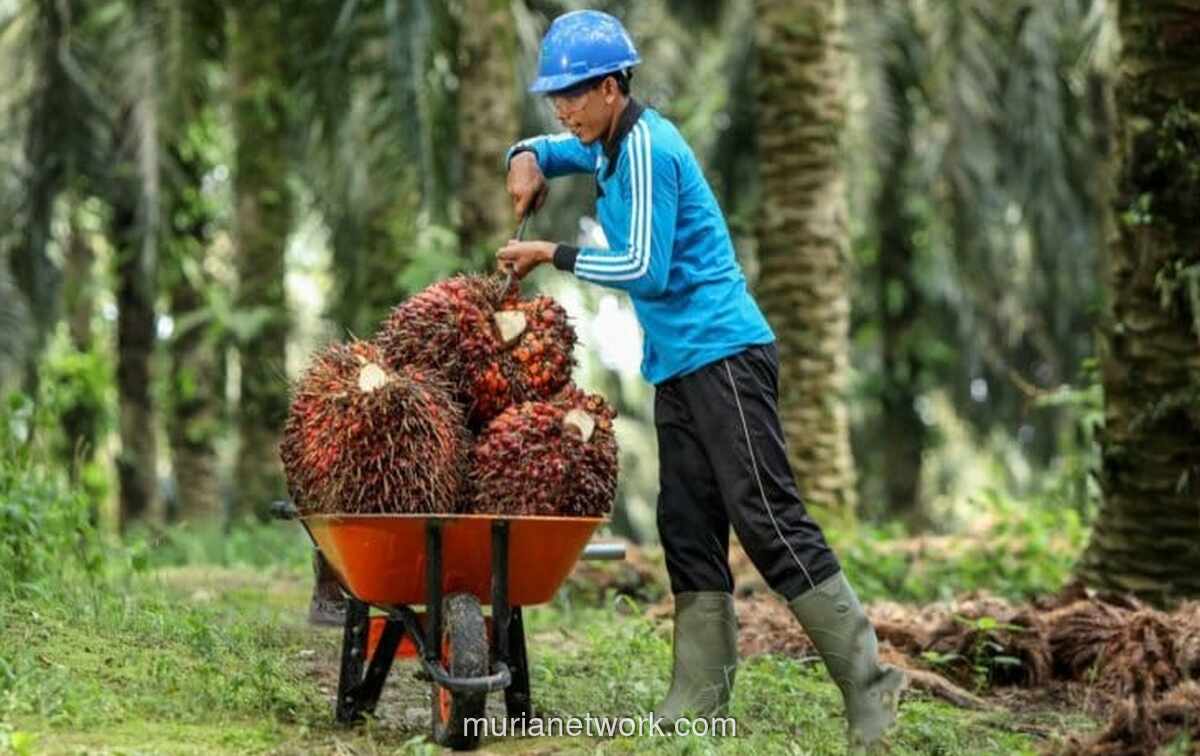 Astra Agro Lestari (AALI) Catat Laba Bersih Rp1,47 Triliun di 2025, Tumbuh 28%
