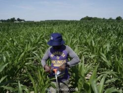 Indonesia Targetkan Impor Komoditas Pertanian AS Senilai 4,5 Miliar Dolar AS