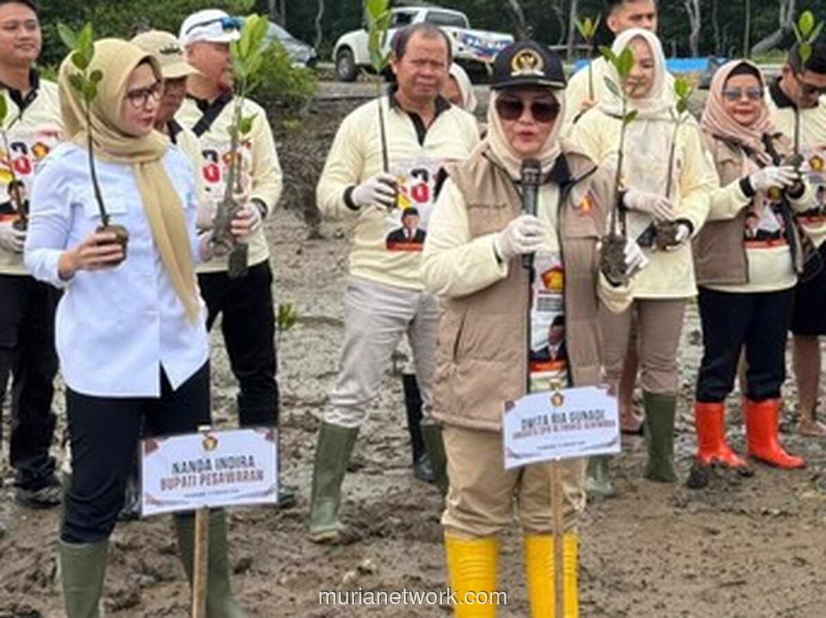 Anggota DPR dan Gerindra Lampung Tanam 1.000 Mangrove dan Bagikan Sembako di Pesawaran