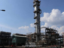 Pertagas Resmikan Pasokan Gas Bumi ke Kawasan Industri KEK Sei Mangkei