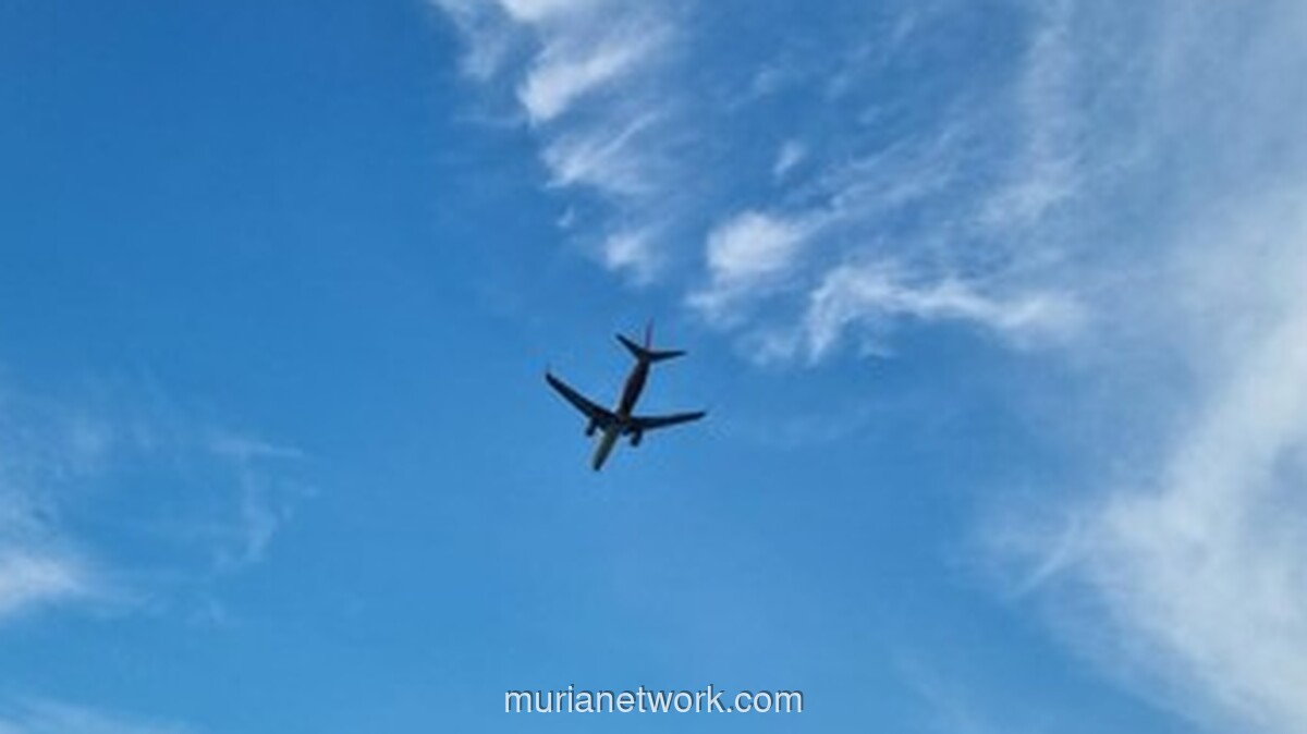 Pilot dan Kopilot Tewas, Pesawat Smart Air Ditembak Usai Mendarat di Boven Digoel