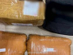 Ditresnarkoba Polda Metro Gagalkan Peredaran 2 Kg Ganja Kiriman Ekspedisi di Depok