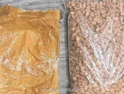 Polda Metro Jaya Gagalkan Peredaran 3.000 Butir Ekstasi di Kebon Jeruk