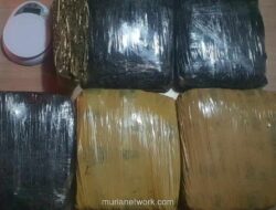 Polisi Gagalkan Peredaran 15,5 Kilogram Ganja di Tanah Abang dan Pamulang