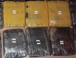 Polda Metro Jaya Sita Lebih dari 15 Kg Ganja dari Dua Lokasi Penggerebekan