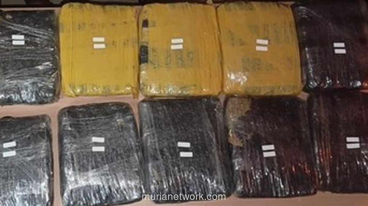 Polda Metro Jaya Sita Lebih dari 15 Kg Ganja dari Dua Lokasi Penggerebekan