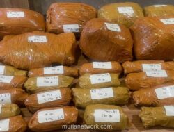 Polda Metro Jaya Gagalkan Peredaran 9,4 Kg Ganja di Cawang, Tiga Tersangka Diamankan