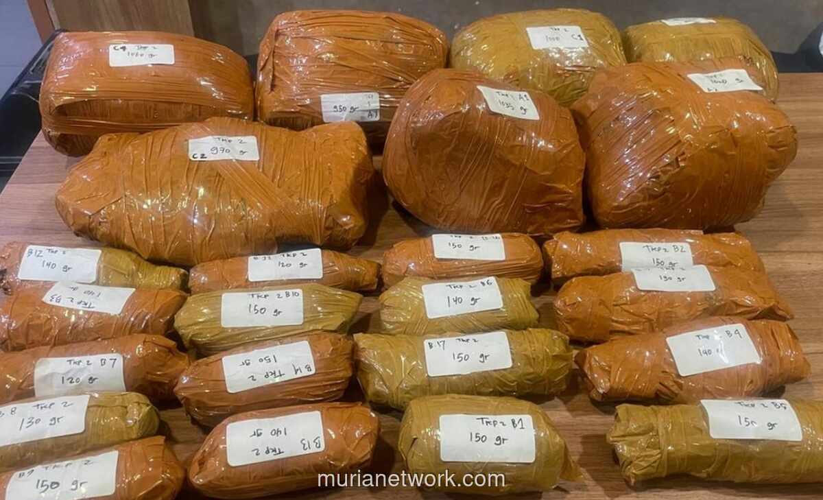 Polda Metro Jaya Gagalkan Peredaran 9,4 Kg Ganja di Cawang, Tiga Tersangka Diamankan