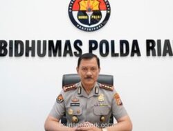 Polisi Periksa 40 Saksi untuk Ungkap Pembunuhan Gajah Sumatera di Riau