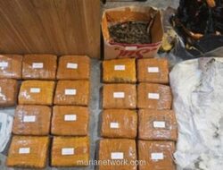 Polisi Amankan 18 Kilogram Ganja dari Satu Tersangka di Jakarta Barat
