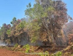 Karyawan BUMD Bengkalis Jadi Tersangka Perambahan Hutan Pemicu Karhutla