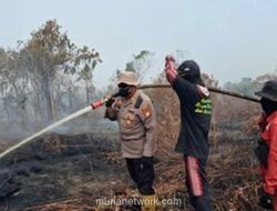 Kebakaran Lahan Gambut di Bengkalis Masih Berkobar, Tim Gabungan Hadapi Cuaca Ekstrem
