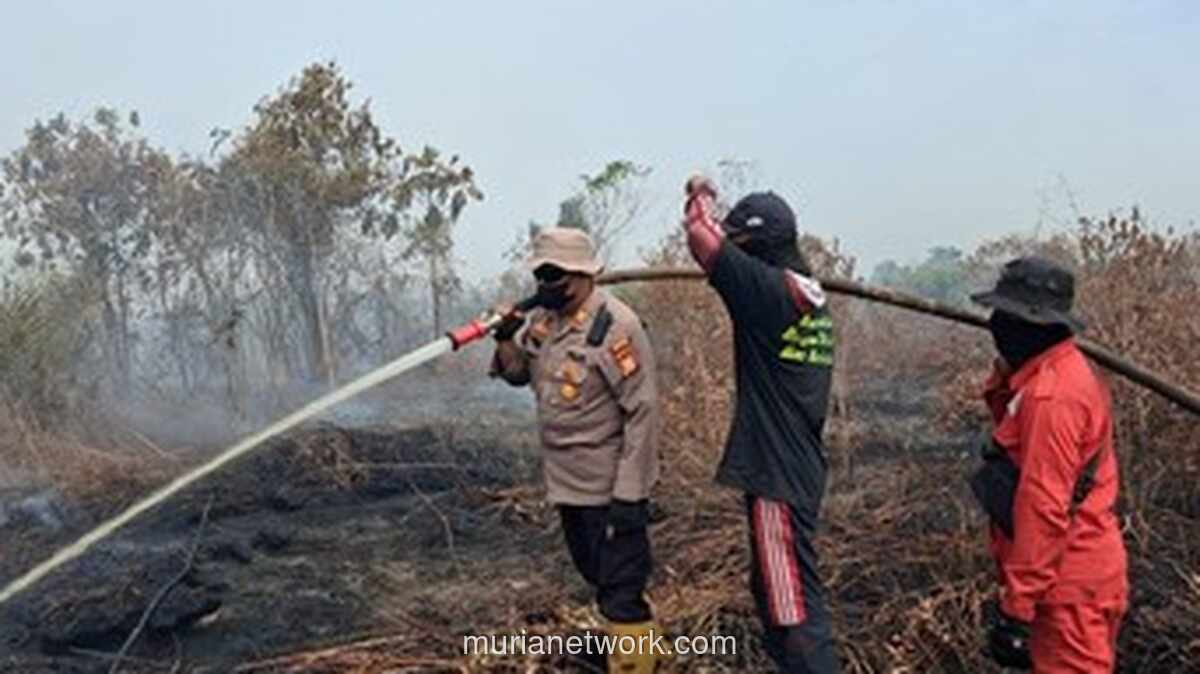 Kebakaran Lahan Gambut di Bengkalis Masih Berkobar, Tim Gabungan Hadapi Cuaca Ekstrem