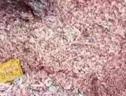 Polisi dan BI Konfirmasi Potongan Uang di TPA Bekasi Asli, Prosedur Pemusnahan Diselidiki