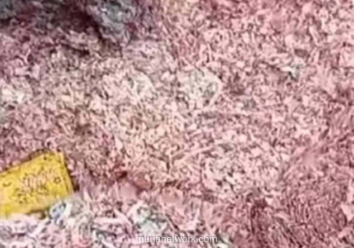 Polisi dan BI Konfirmasi Potongan Uang di TPA Bekasi Asli, Prosedur Pemusnahan Diselidiki