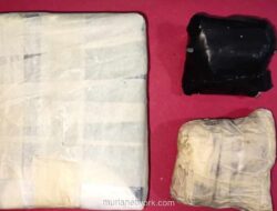 Polisi Tangkap Pria di Kebon Jeruk, Sita Lebih 1 Kg Kokain dari Malaysia