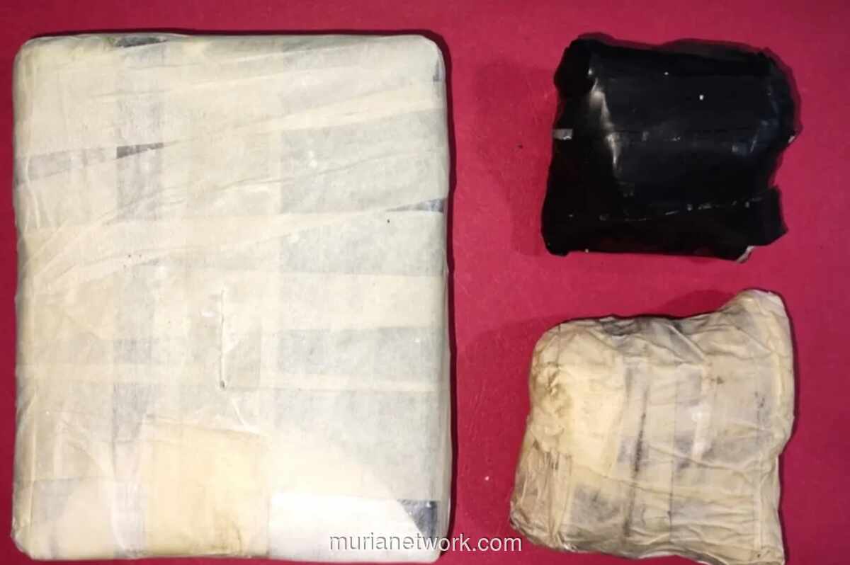 Polisi Tangkap Pria di Kebon Jeruk, Sita Lebih 1 Kg Kokain dari Malaysia