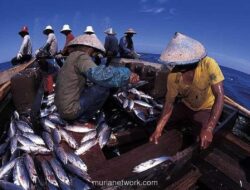 KKP Prediksi Produksi Perikanan Tangkap Turun pada Awal 2026 Akibat Cuaca