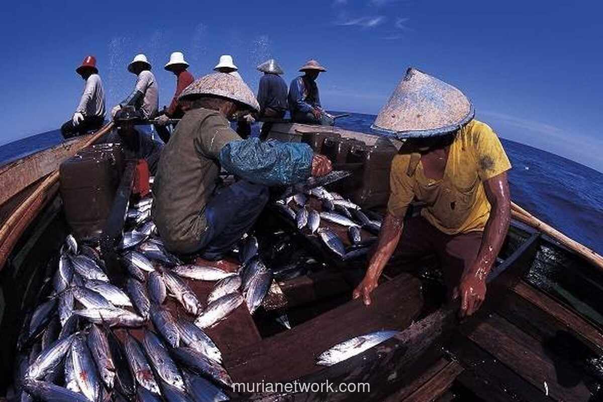 KKP Prediksi Produksi Perikanan Tangkap Turun pada Awal 2026 Akibat Cuaca