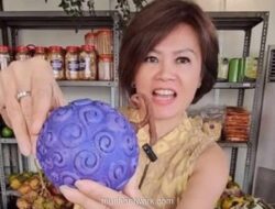 Ci Mehong Gugat Cerai Suami Setelah 15 Tahun, Beban Finansial Jadi Pemicu