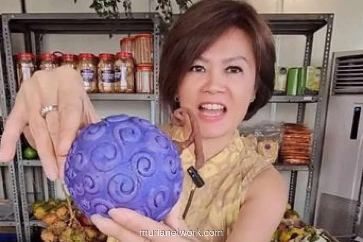 Ci Mehong Gugat Cerai Suami Setelah 15 Tahun, Beban Finansial Jadi Pemicu