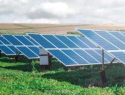 Pertumbuhan Energi Angin dan Surya Global Melambat, Pusat Pertumbuhan Bergeser ke Negara Berkembang