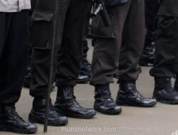 Organisasi Pemuda Al Washliyah DKI Dukung Polri Tetap Langsung di Bawah Presiden