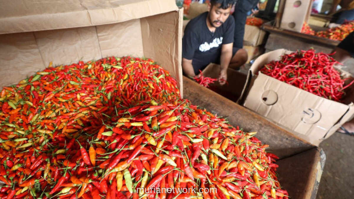 Harga Cabai Rawit Tembus Rp84 Ribu per Kg Jelang Ramadan di Cirebon