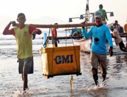 Pembangunan Kampung Nelayan Capai 50 Persen, Presiden Tekankan Penguatan Kelembagaan